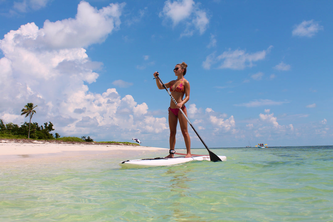 Maui Paddleboard Scene